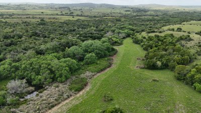 5 hectáreas con monte y arroyo José Ignacio