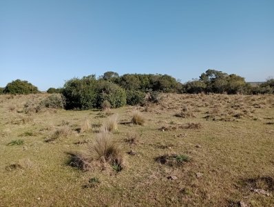 5 hectáreas en Garzón