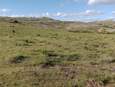 5 hectáreas, 65.000 U$S, se financia