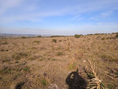 5 hectáreas en Garzón