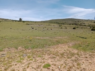 5 hectáreas en Pueblo Edén