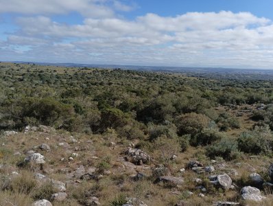 8 hectáreas en Maldonado, con monte nativo