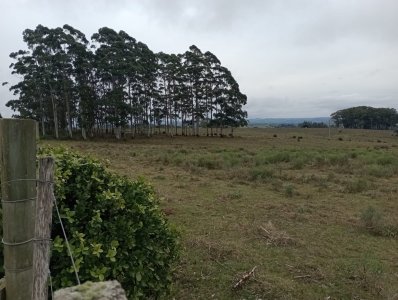 5 hectáreas en Maldonado