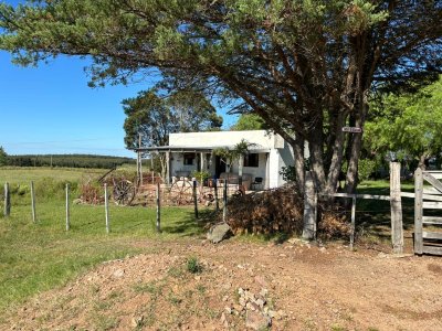 8 hectáreas con casa y galpón