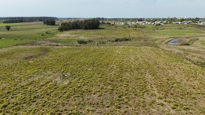 3 hectáreas en Migues con aguada y linda vista