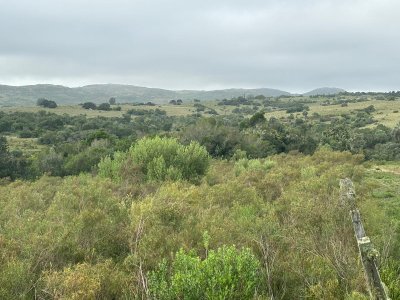 3 hectáreas en Las Cañas