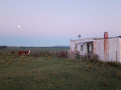 10 hectáreas con casa y arroyo