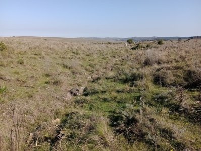 14 hectáreas con 7.500 metros en Maldonado