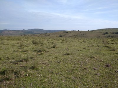 8 hectáreas en Zanja del Tigre