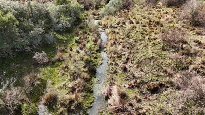 3 hectáreas en Maldonado, se financia