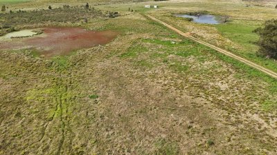 5 hectáreas en Canelones, zona de Noya