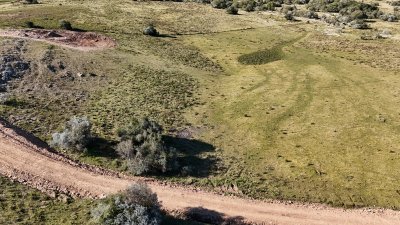 5 hectáreas con entrega de 19 mil dólares