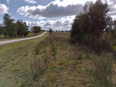 3 hectáreas en Canelones