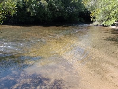 11 hectáreas en Pueblo Edén