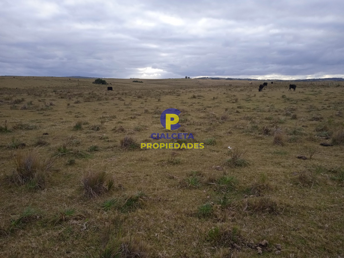 60 hectáreas en Garzón - GoPunta - Portal Inmobiliario de Punta del Este - Maldonado