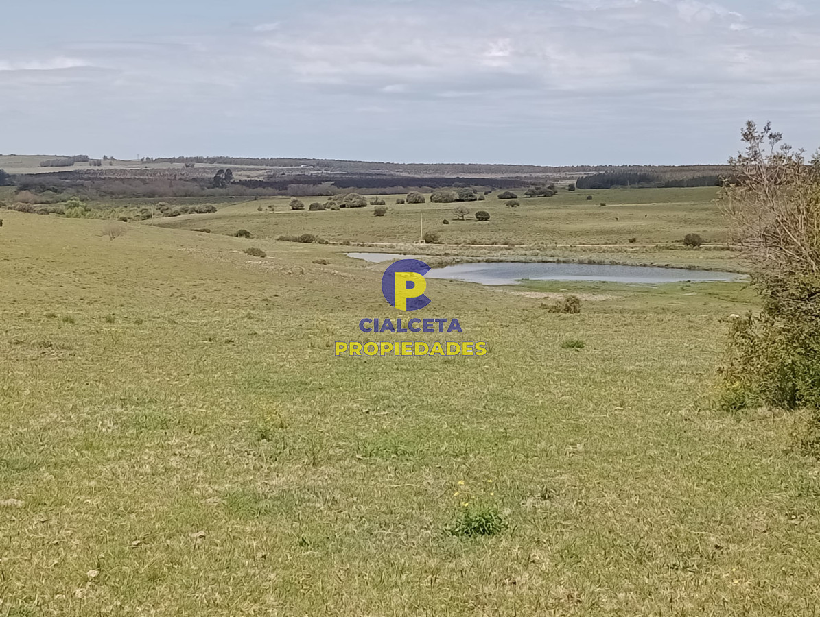 32 hectáreas en Maldonado - GoPunta - Portal Inmobiliario de Punta del Este - Maldonado