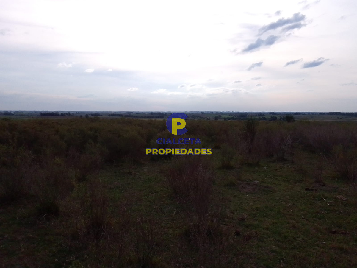 33 hectáreas en Lavalleja - GoPunta - Portal Inmobiliario de Punta del Este - Maldonado