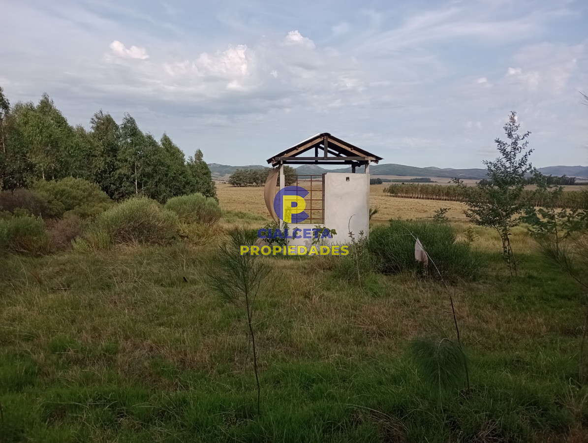 228 hectáreas en lavalleja - GoPunta - Portal Inmobiliario de Punta del Este - Maldonado