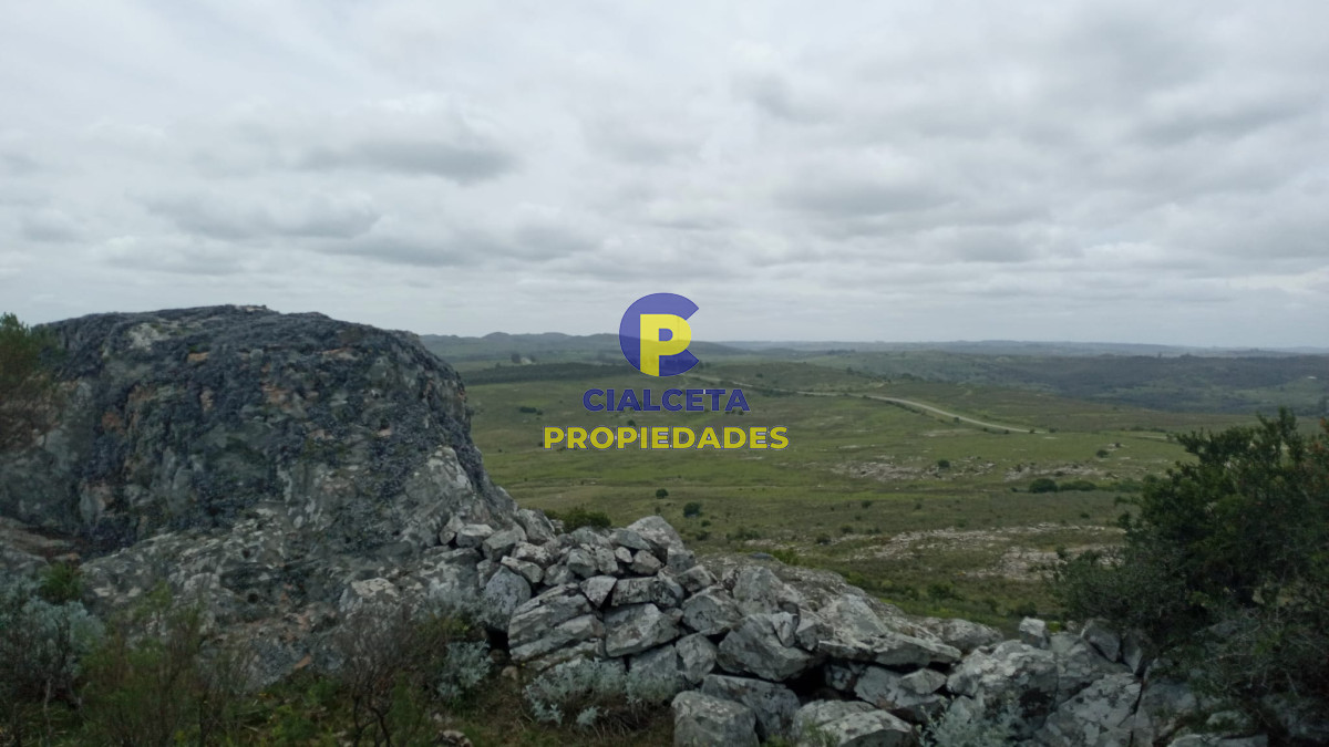 31 hectáreas en Maldonado - GoPunta - Portal Inmobiliario de Punta del Este - Maldonado