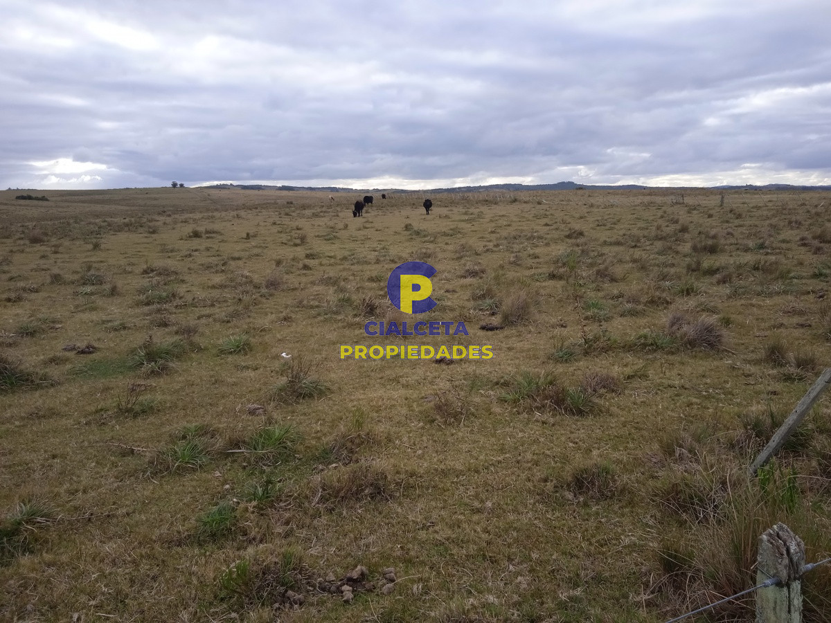 60 hectáreas en Garzón - GoPunta - Portal Inmobiliario de Punta del Este - Maldonado