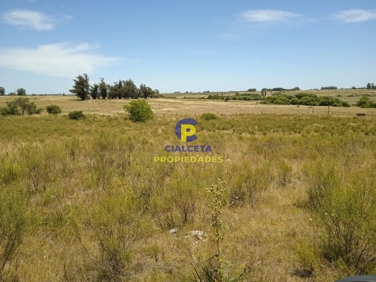 23 hectáreas en Lavalleja con arroyo - GoPunta - Portal Inmobiliario de Punta del Este - Maldonado