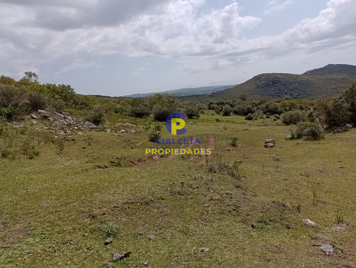55 hectáreas en Maldonado - GoPunta - Portal Inmobiliario de Punta del Este - Maldonado