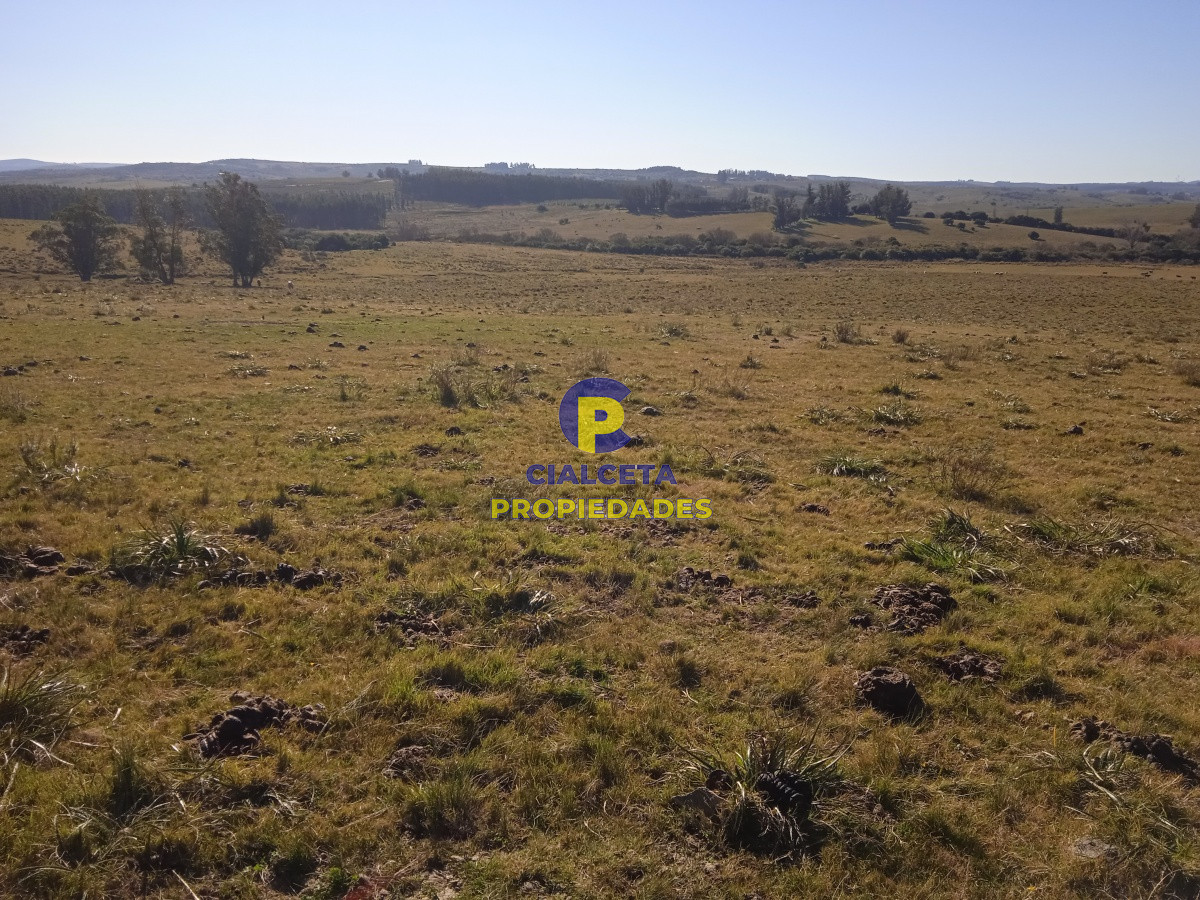 60 hectáreas en Carapé - GoPunta - Portal Inmobiliario de Punta del Este - Maldonado