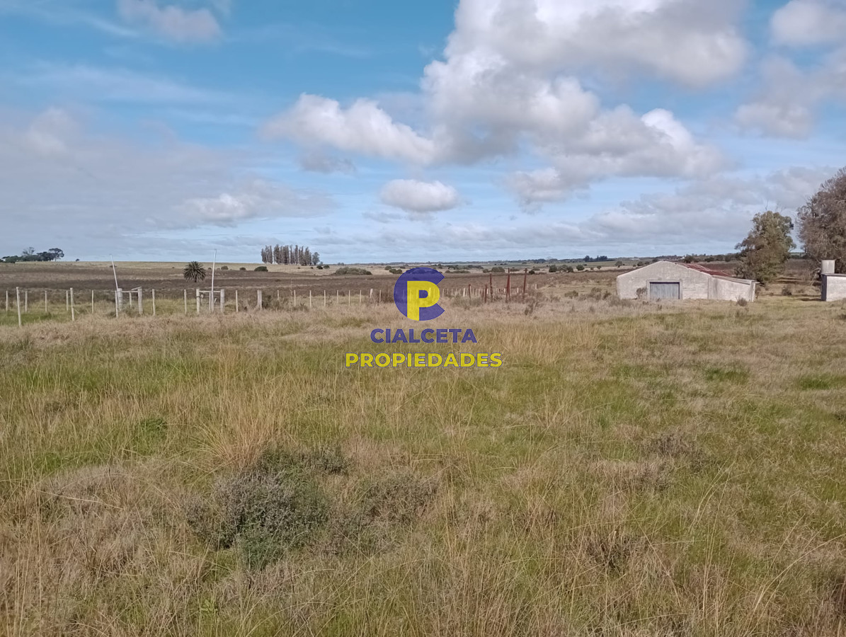 102 hectáreas en Canelones - GoPunta - Portal Inmobiliario de Punta del Este - Maldonado
