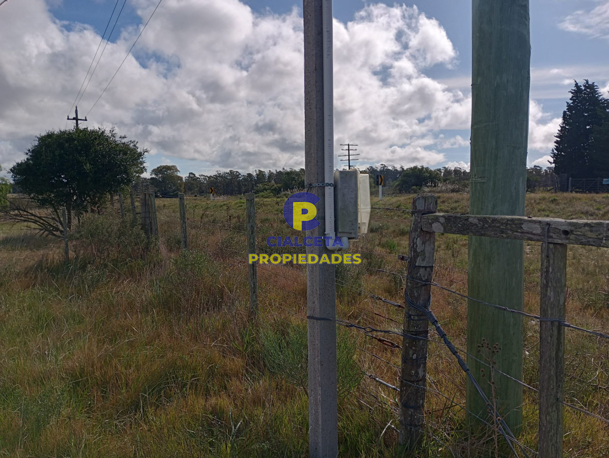 102 hectáreas en Canelones - GoPunta - Portal Inmobiliario de Punta del Este - Maldonado
