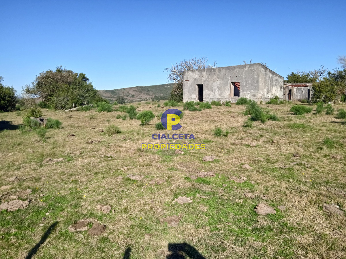 60 hectáreas en Carapé - GoPunta - Portal Inmobiliario de Punta del Este - Maldonado