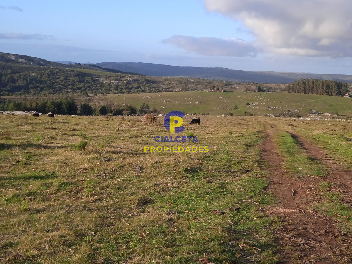 20 hectáreas con tapera, cañada y monte nativo - GoPunta - Portal Inmobiliario de Punta del Este - Maldonado