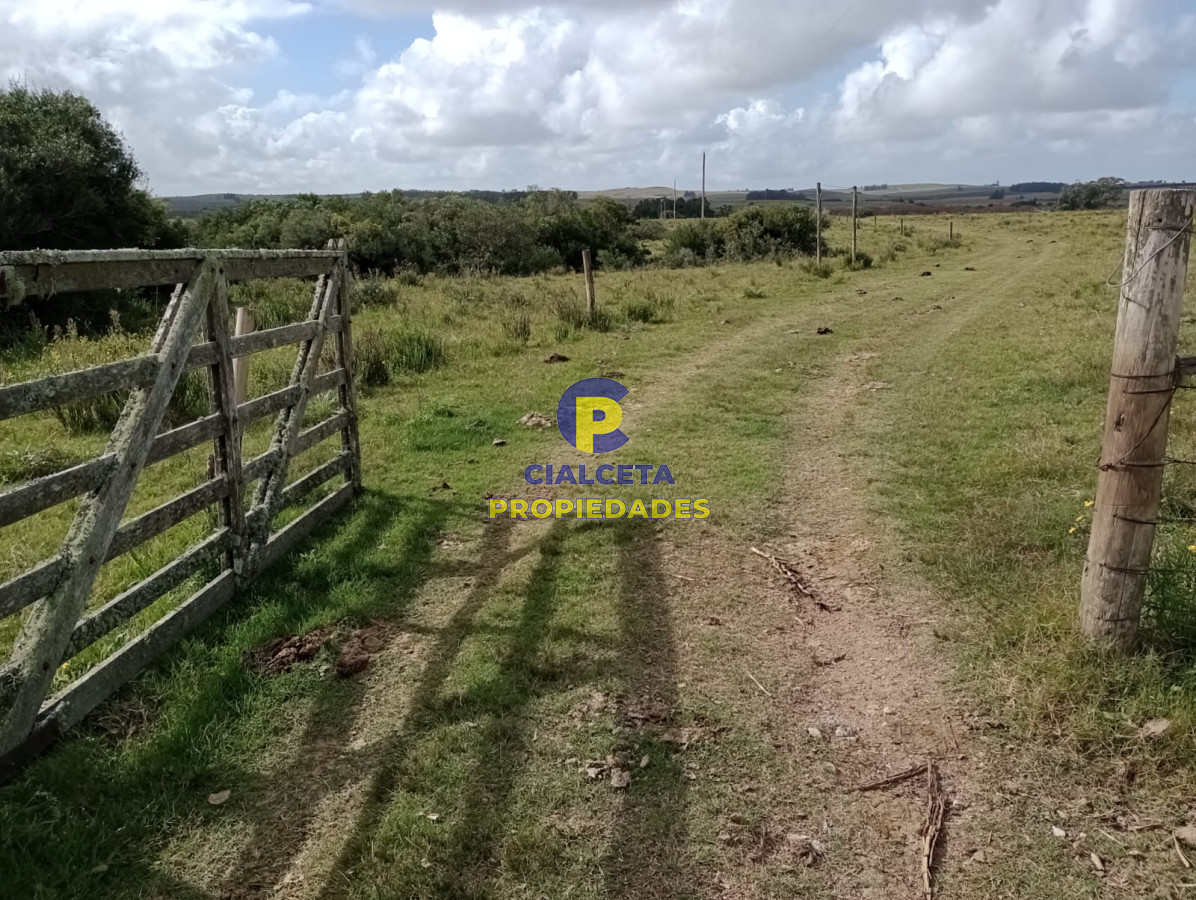30 hectáreas en Garzón - GoPunta - Portal Inmobiliario de Punta del Este - Maldonado