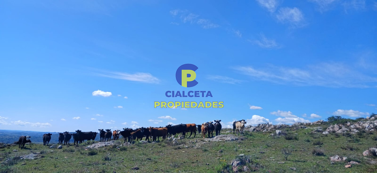395 hectáreas en Lavalleja - GoPunta - Portal Inmobiliario de Punta del Este - Maldonado