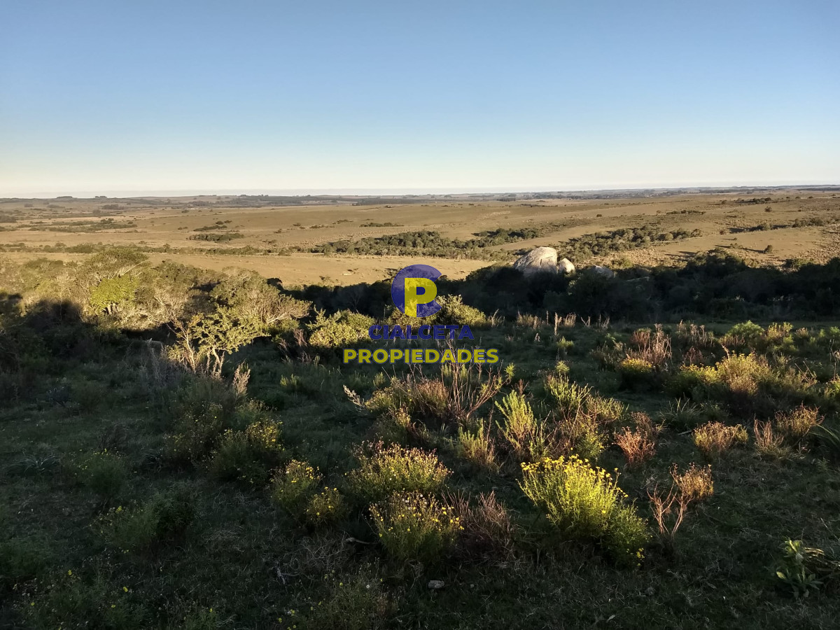 60 hectáreas en Garzón - GoPunta - Portal Inmobiliario de Punta del Este - Maldonado