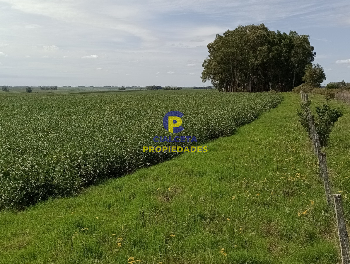 350 hectáreas en lavalleja - GoPunta - Portal Inmobiliario de Punta del Este - Maldonado