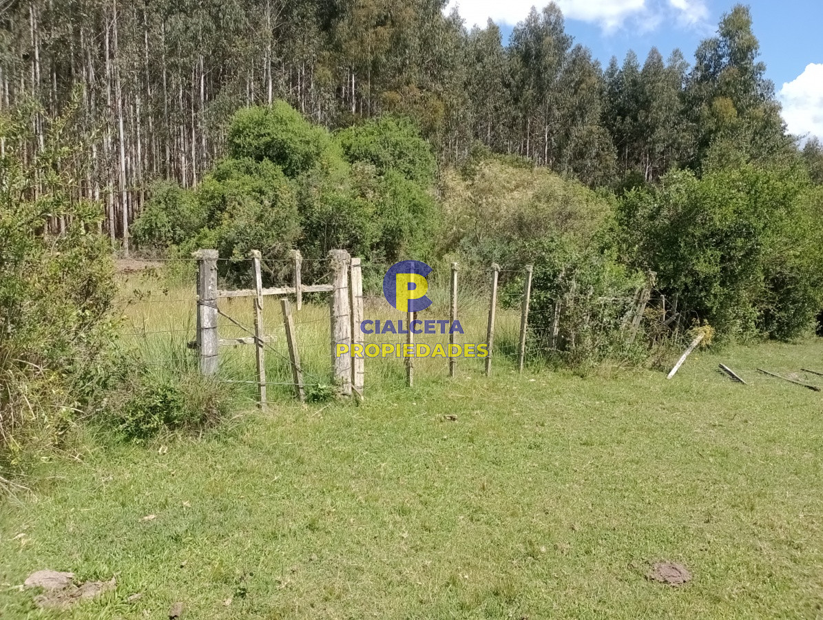 98 hectáreas en Maldonado - GoPunta - Portal Inmobiliario de Punta del Este - Maldonado