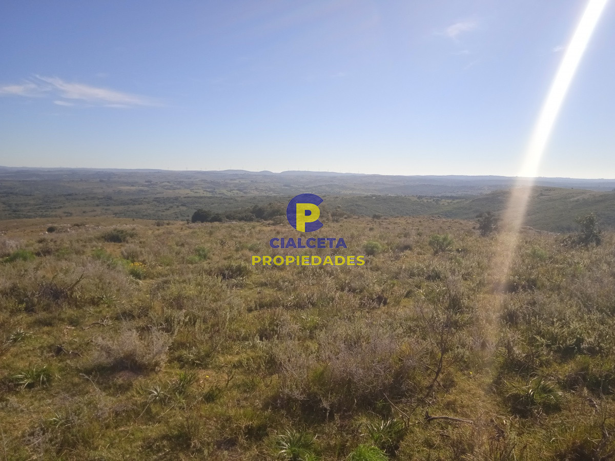 5 hectáreas en las Cañas - GoPunta - Portal Inmobiliario de Punta del Este - Maldonado