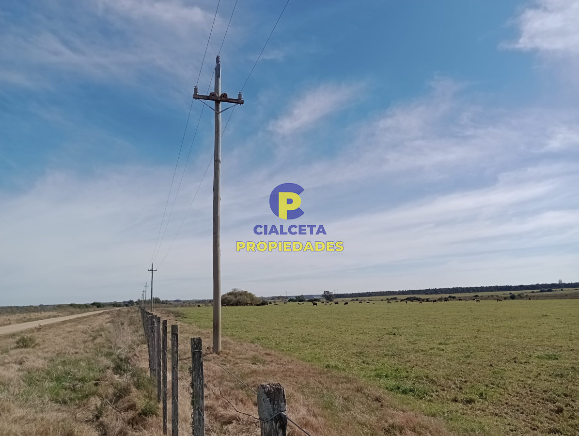 5 hectáreas en Maldonado - GoPunta - Portal Inmobiliario de Punta del Este - Maldonado
