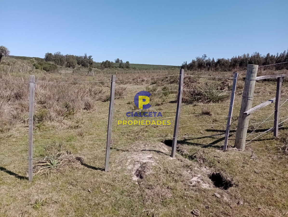 16 hectáreas en Maldonado - GoPunta - Portal Inmobiliario de Punta del Este - Maldonado