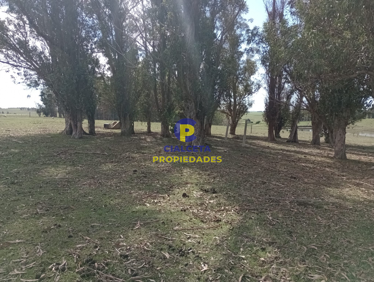 22 hectáreas en lavalleja - GoPunta - Portal Inmobiliario de Punta del Este - Maldonado