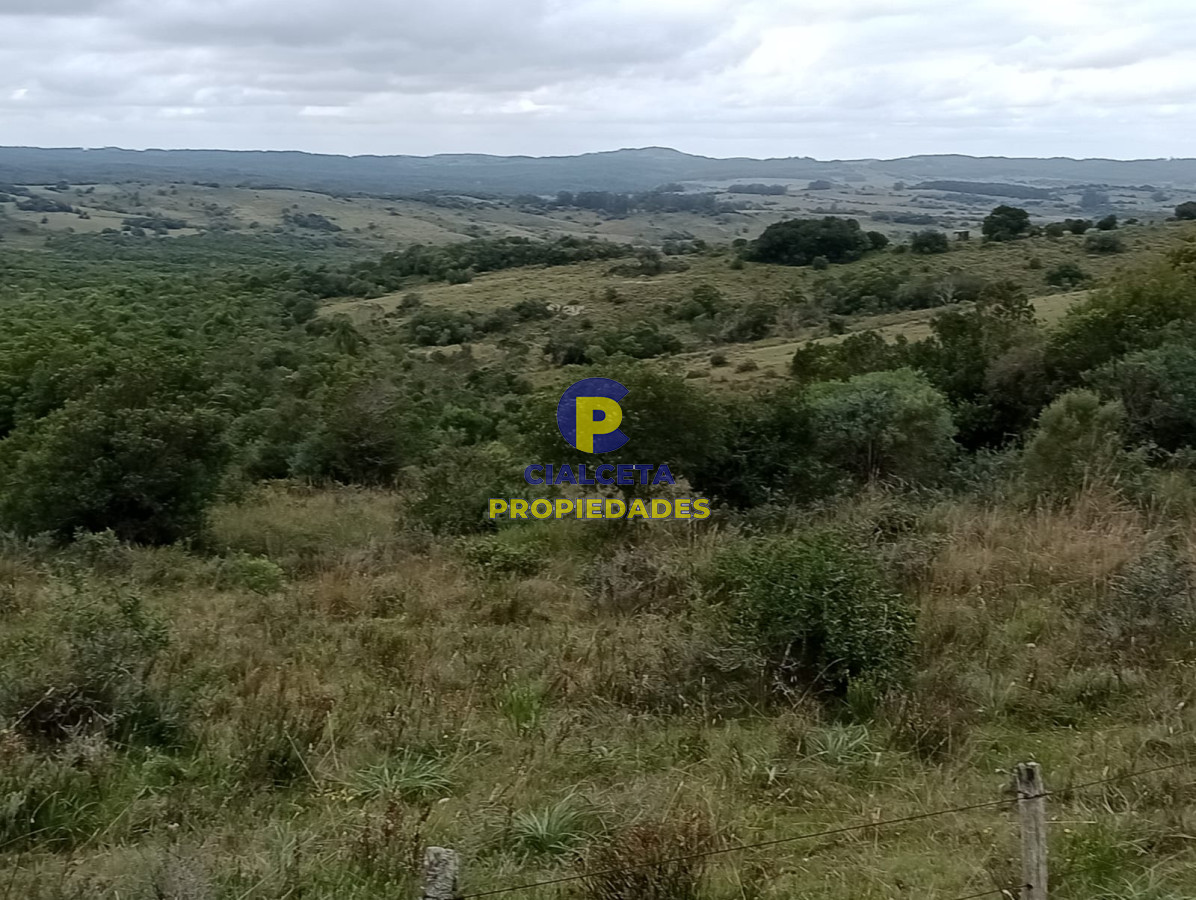 48 hectáreas con 8 mil metros en Garzón - GoPunta - Portal Inmobiliario de Punta del Este - Maldonado