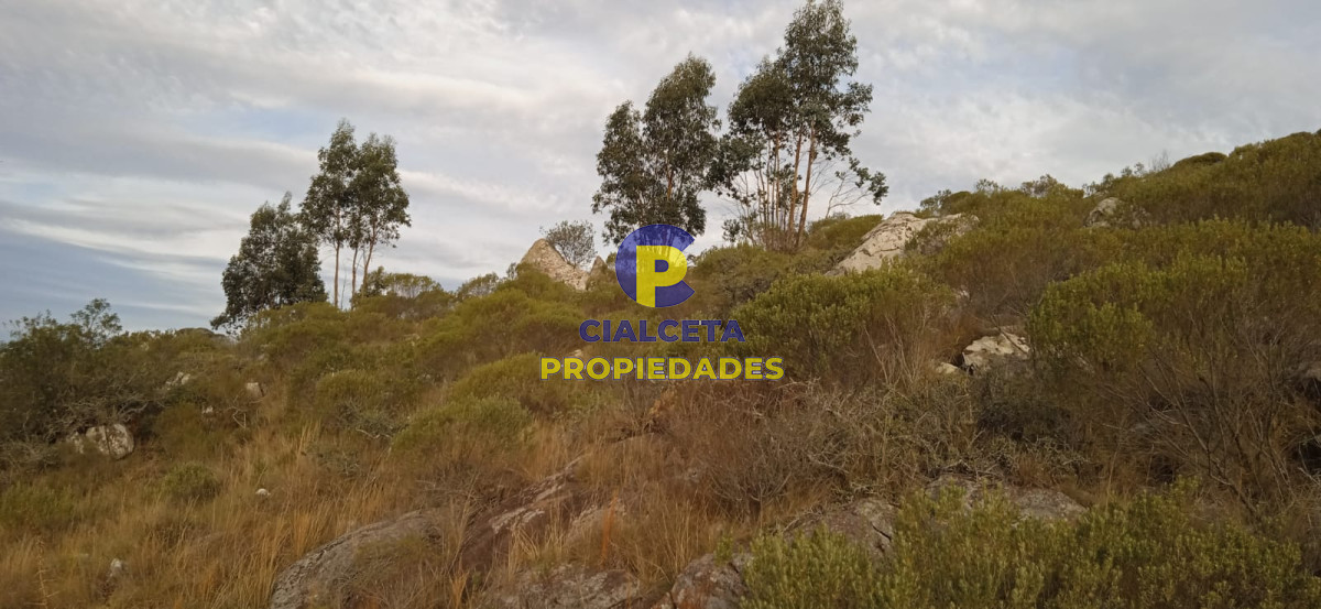 5 hectáreas, entrega 8.000 U$S y cuotas de 593 U$S - GoPunta - Portal Inmobiliario de Punta del Este - Maldonado