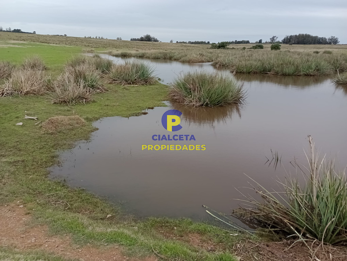 15 hectáreas en Maldonado - GoPunta - Portal Inmobiliario de Punta del Este - Maldonado