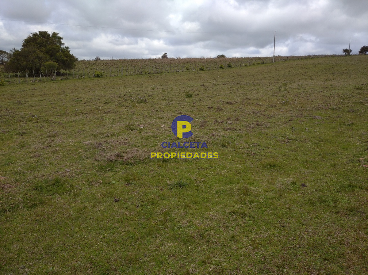 267 hectáreas en Maldonado - GoPunta - Portal Inmobiliario de Punta del Este - Maldonado