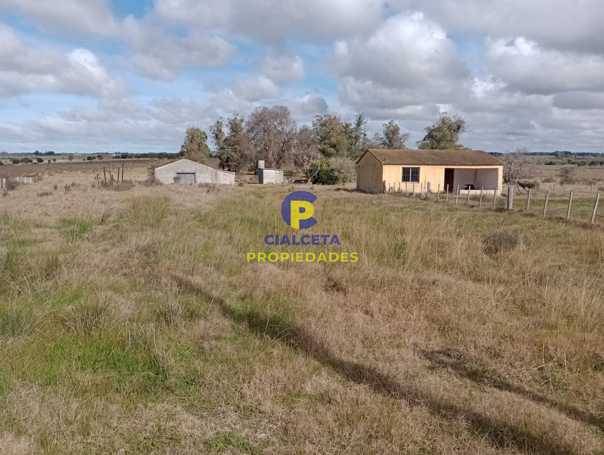 102 hectáreas en Canelones - GoPunta - Portal Inmobiliario de Punta del Este - Maldonado