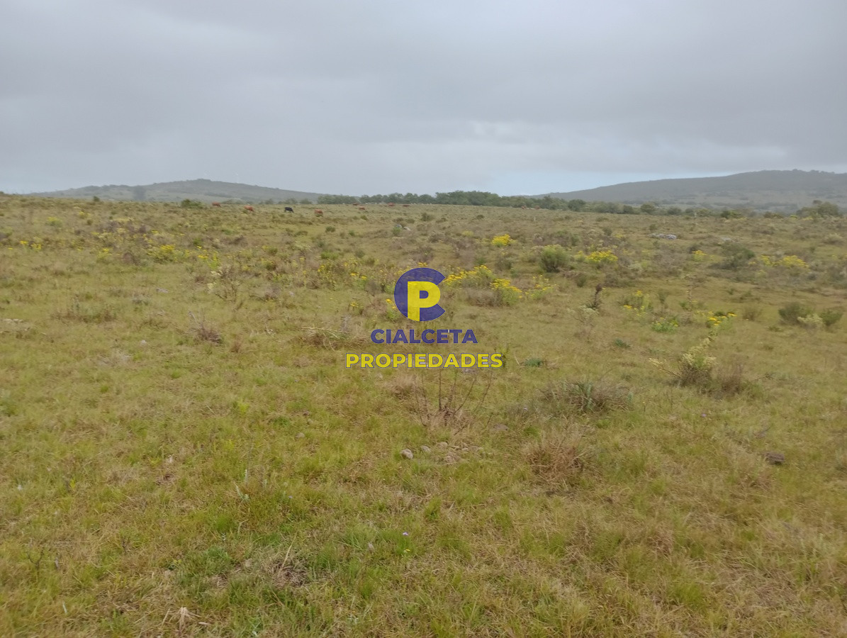 5 hectáreas en Maldonado, Pueblo Edén - GoPunta - Portal Inmobiliario de Punta del Este - Maldonado