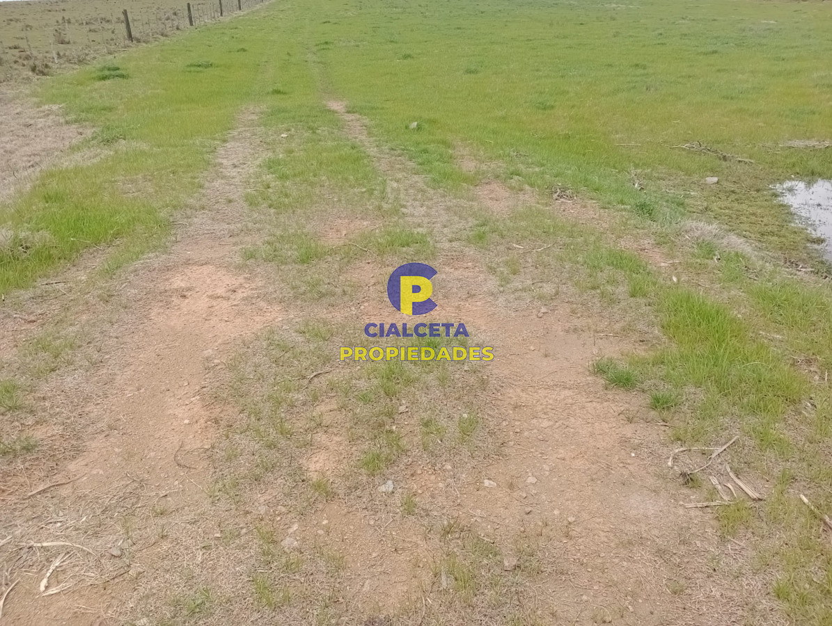 15 hectáreas en Maldonado - GoPunta - Portal Inmobiliario de Punta del Este - Maldonado