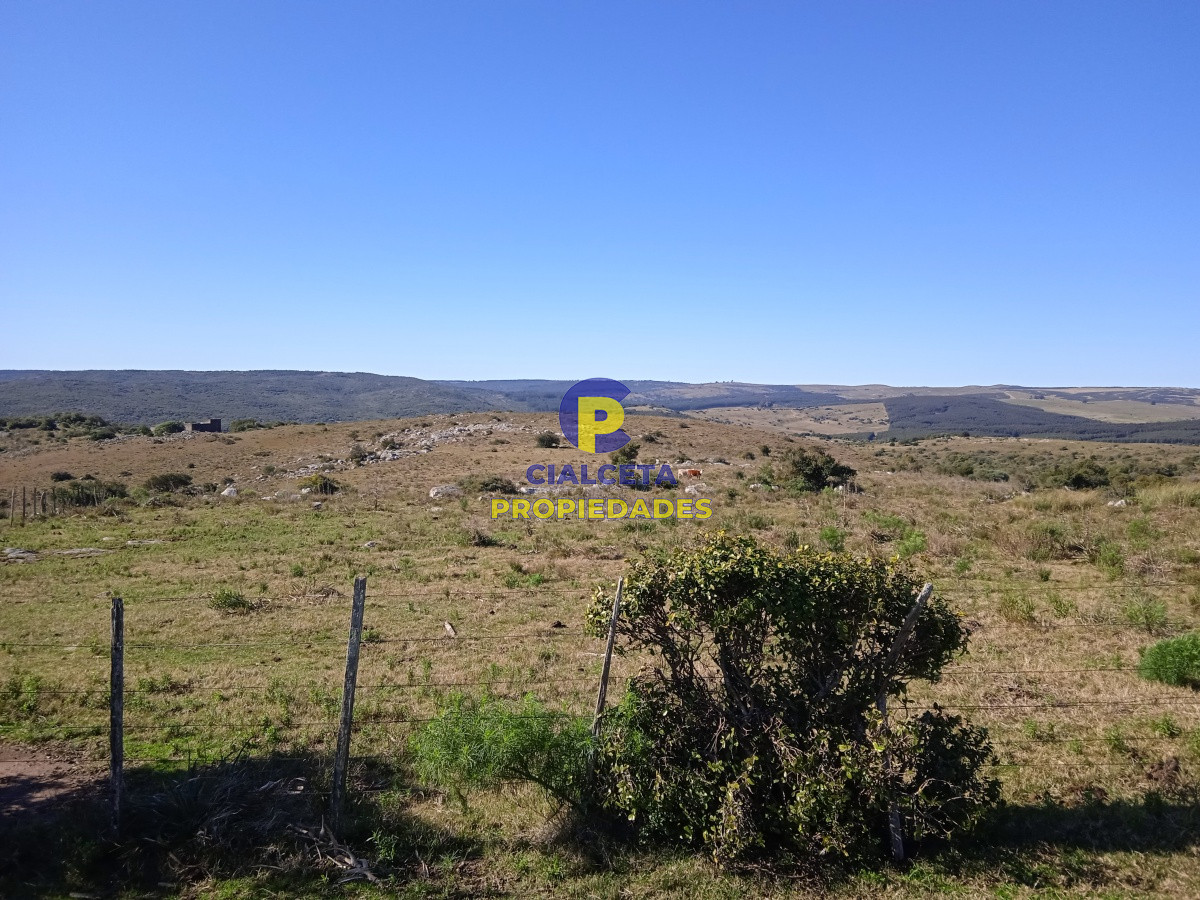 29 hectáreas en Minas - GoPunta - Portal Inmobiliario de Punta del Este - Maldonado