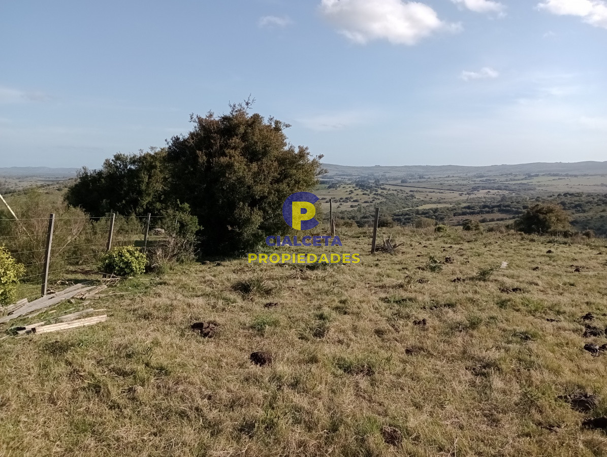 5 hectáreas en Maldonado - GoPunta - Portal Inmobiliario de Punta del Este - Maldonado