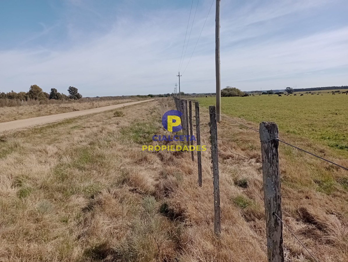 5 hectáreas en Maldonado - GoPunta - Portal Inmobiliario de Punta del Este - Maldonado